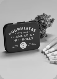 Dogwalkers Sit Animal Face (1.75g 5-Pack)