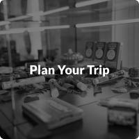 Plan Your Trip